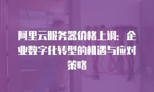 阿里云服务器价格上调：企业数字化转型的机遇与应对策略