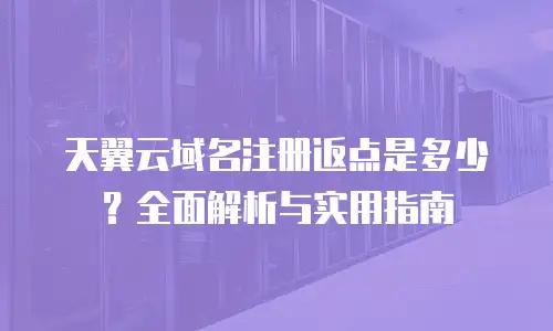 天翼云域名注册返点是多少？全面解析与实用指南
