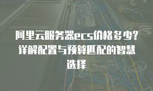 阿里云服务器ecs价格多少？详解配置与预算匹配的智慧选择