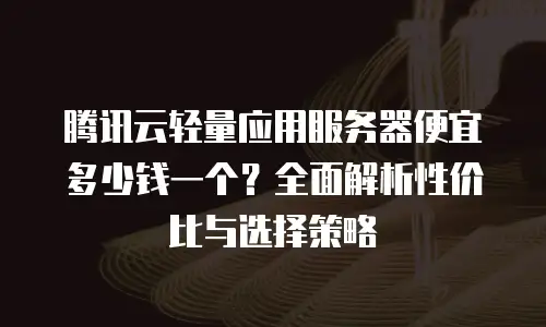 腾讯云轻量应用服务器便宜多少钱一个？全面解析性价比与选择策略