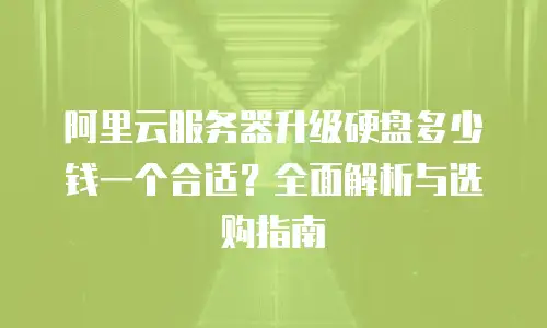 阿里云服务器升级硬盘多少钱一个合适？全面解析与选购指南