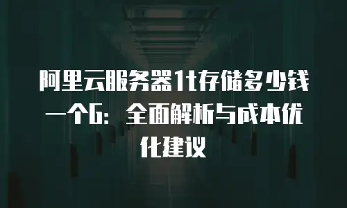 阿里云服务器1t存储多少钱一个G：全面解析与成本优化建议