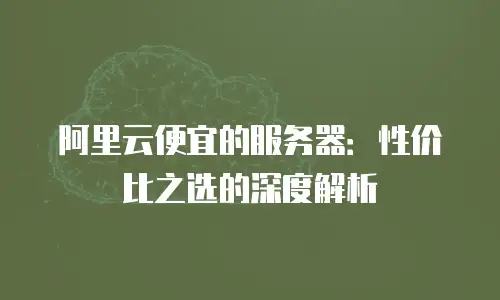阿里云便宜的服务器：性价比之选的深度解析