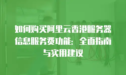 如何购买阿里云香港服务器信息服务费功能：全面指南与实用建议