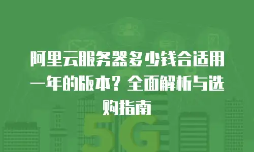 阿里云服务器多少钱合适用一年的版本？全面解析与选购指南