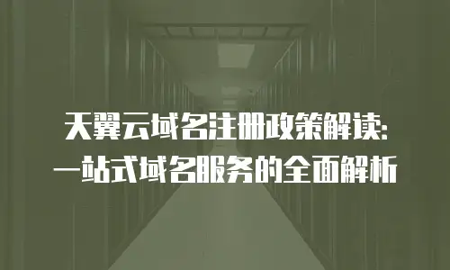 天翼云域名注册政策解读：一站式域名服务的全面解析