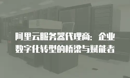 阿里云服务器代理商：企业数字化转型的桥梁与赋能者