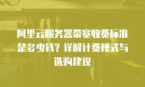 阿里云服务器带宽收费标准是多少钱？详解计费模式与选购建议