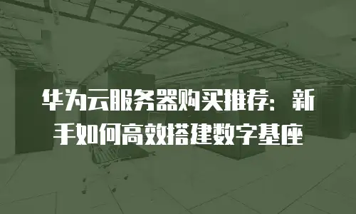 华为云服务器购买推荐：新手如何高效搭建数字基座