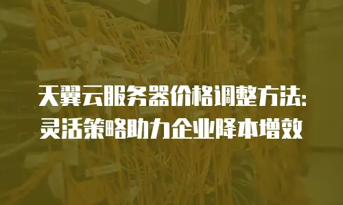 天翼云服务器价格调整方法：灵活策略助力企业降本增效