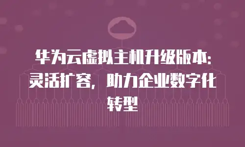 华为云虚拟主机升级版本：灵活扩容，助力企业数字化转型