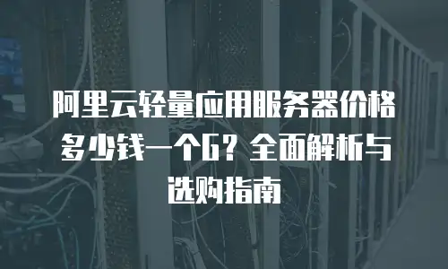 阿里云轻量应用服务器价格多少钱一个G？全面解析与选购指南