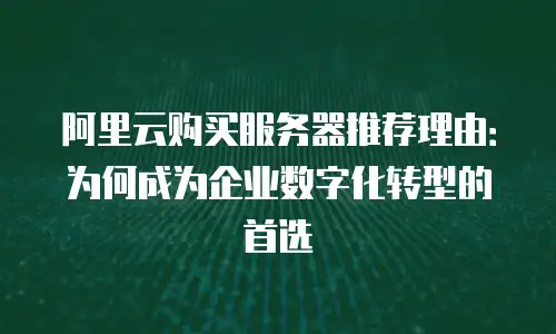 阿里云购买服务器推荐理由：为何成为企业数字化转型的首选
