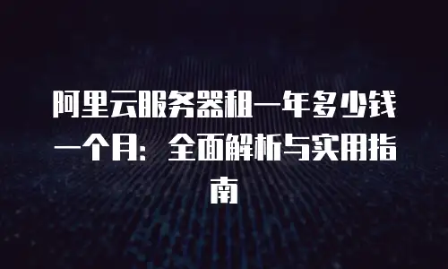 阿里云服务器租一年多少钱一个月：全面解析与实用指南