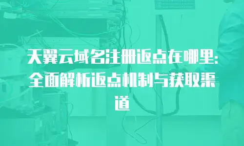 天翼云域名注册返点在哪里：全面解析返点机制与获取渠道