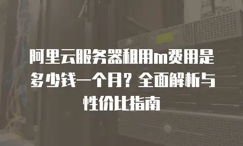 阿里云服务器租用m费用是多少钱一个月？全面解析与性价比指南