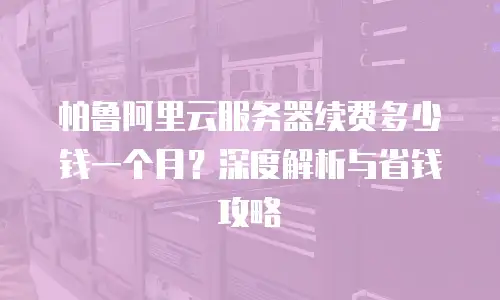 帕鲁阿里云服务器续费多少钱一个月？深度解析与省钱攻略