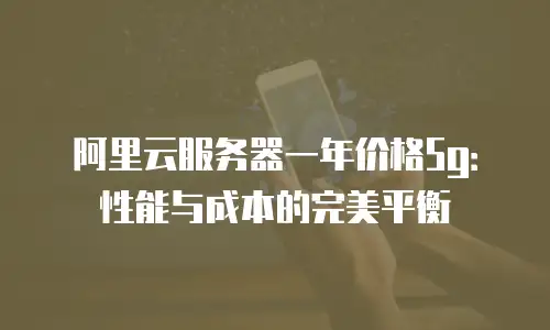 阿里云服务器一年价格5g：性能与成本的完美平衡