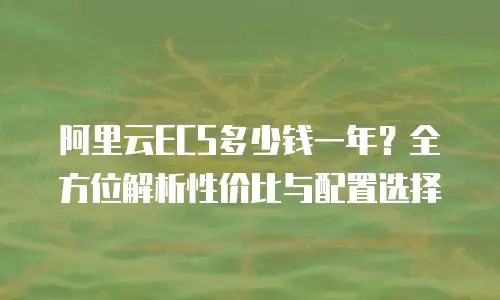 阿里云ECS多少钱一年？全方位解析性价比与配置选择