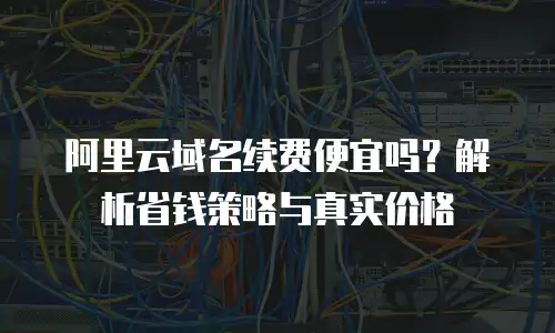 阿里云域名续费便宜吗？解析省钱策略与真实价格