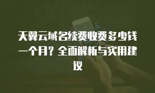 天翼云域名续费收费多少钱一个月？全面解析与实用建议