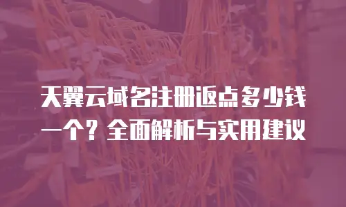 天翼云域名注册返点多少钱一个？全面解析与实用建议