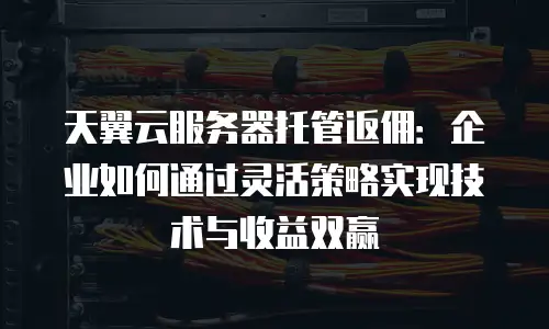 天翼云服务器托管返佣：企业如何通过灵活策略实现技术与收益双赢