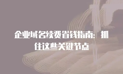 企业域名续费省钱指南：抓住这些关键节点