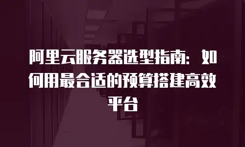 阿里云服务器选型指南：如何用最合适的预算搭建高效平台