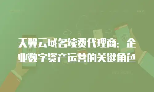 天翼云域名续费代理商：企业数字资产运营的关键角色