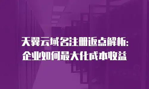 天翼云域名注册返点解析：企业如何最大化成本收益