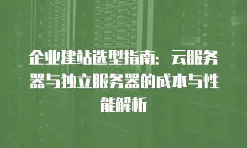 企业建站选型指南：云服务器与独立服务器的成本与性能解析