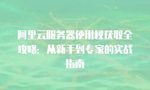 阿里云服务器使用权获取全攻略：从新手到专家的实战指南