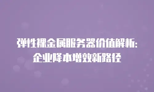 弹性裸金属服务器价值解析：企业降本增效新路径