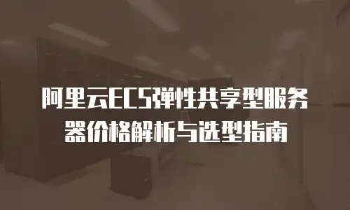阿里云ECS弹性共享型服务器价格解析与选型指南