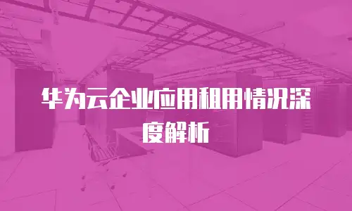 华为云企业应用租用情况深度解析