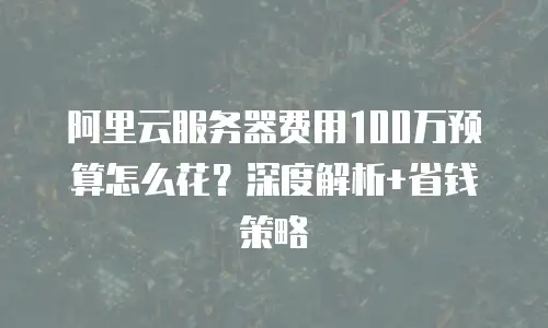 阿里云服务器费用100万预算怎么花？深度解析+省钱策略