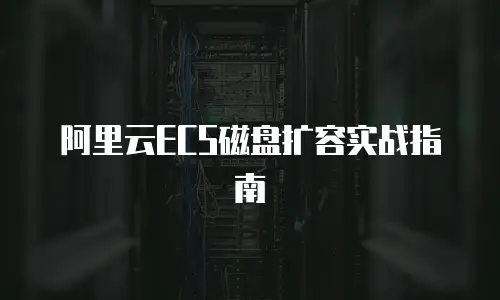 阿里云ECS磁盘扩容实战指南