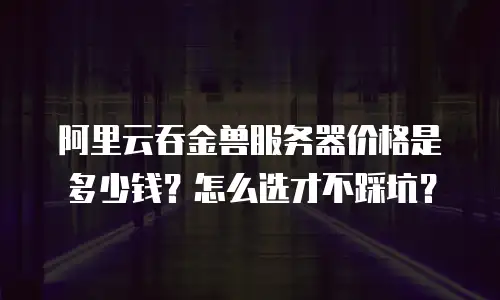 阿里云吞金兽服务器价格是多少钱？怎么选才不踩坑？