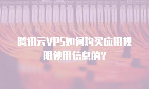 腾讯云VPS如何购买应用权限使用信息的？