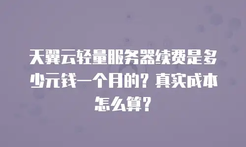 天翼云轻量服务器续费是多少元钱一个月的？真实成本怎么算？