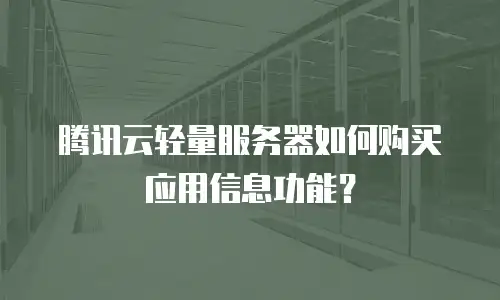 腾讯云轻量服务器如何购买应用信息功能？