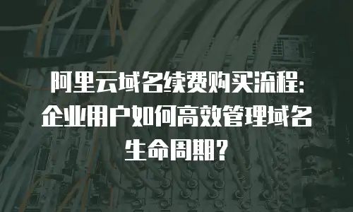 阿里云域名续费购买流程：企业用户如何高效管理域名生命周期？