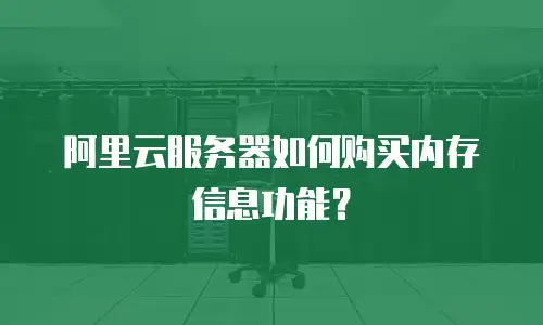 阿里云服务器如何购买内存信息功能？