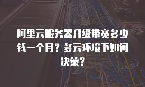 阿里云服务器升级带宽多少钱一个月？多云环境下如何决策？