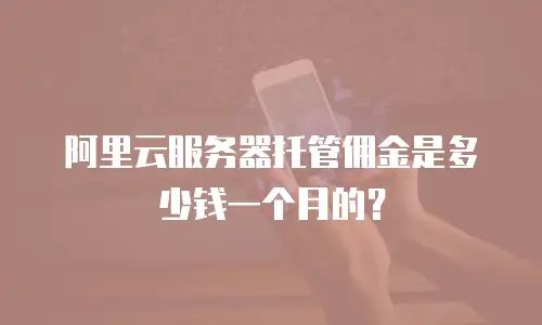 阿里云服务器托管佣金是多少钱一个月的？