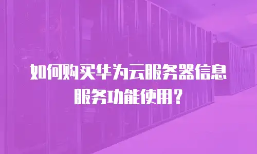 如何购买华为云服务器信息服务功能使用？