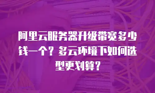 阿里云服务器升级带宽多少钱一个？多云环境下如何选型更划算？