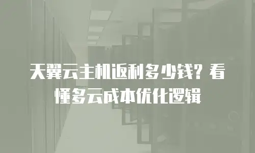 天翼云主机返利多少钱？看懂多云成本优化逻辑