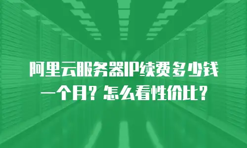 阿里云服务器IP续费多少钱一个月？怎么看性价比？